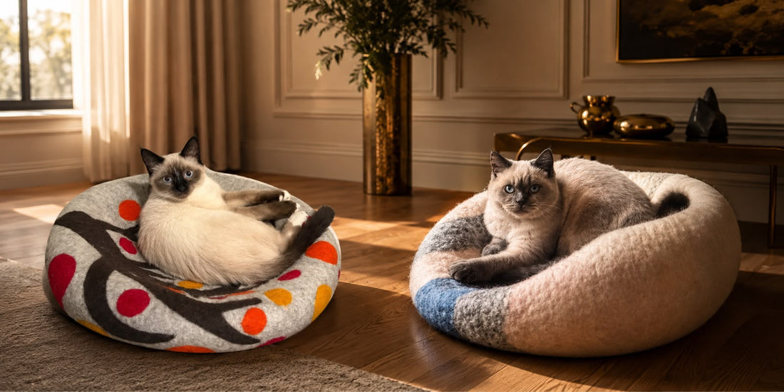 Why Choose Wool for Your Pet's Bed