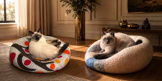 Why Choose Wool for Your Pet's Bed