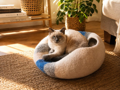 Cat lying on a round felt cat bed in a cozy living room.