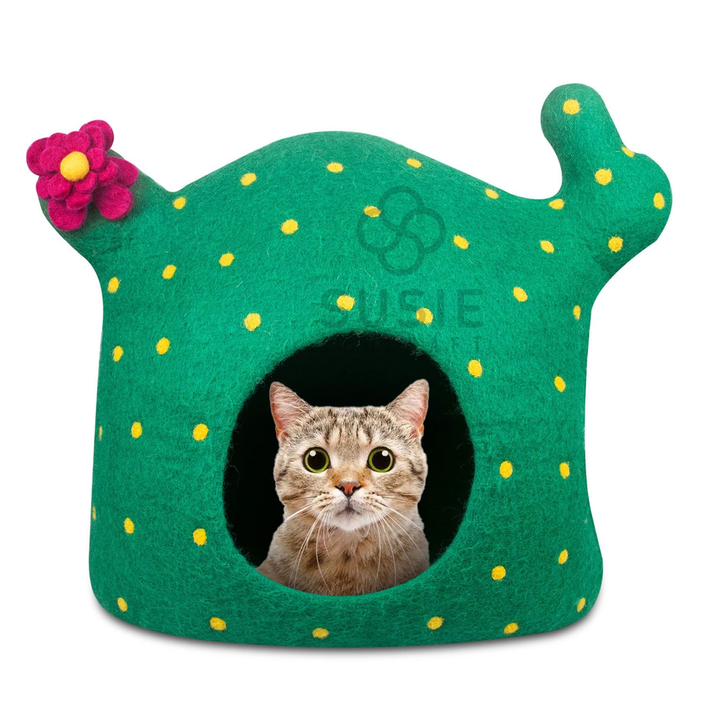 Cat Cave Bed Cactus Handmade Eco Friendly Natural Felted New Zealand Wool Warm and Cozy Beds for Cats and Kittens ~Bonus Wool Ball